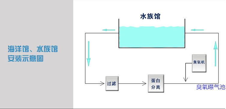 海洋館過濾，蛋分，臭氧，曝氣池.png